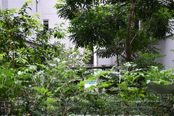 Seletar Park Residence (D28), Condominium #106929862